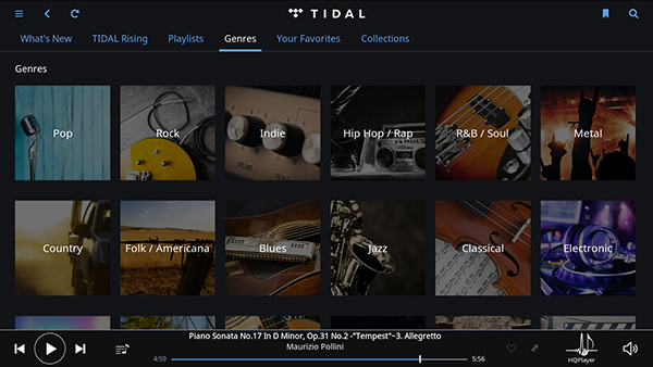 Roon的最佳解答：RoonNucleus音乐服务器