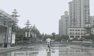 沙漠骆驼抖音最火的视频,沙漠骆驼女声版火到春晚