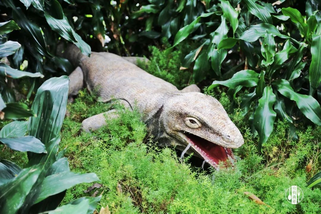 动物园万圣节里面有什么,万圣节动物王国