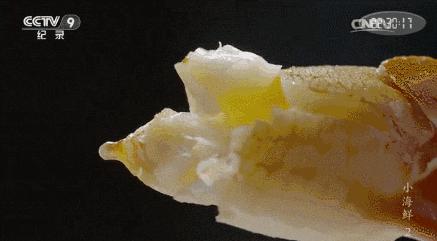 每个吃货心里都有一片海！没有256G的胃还敢到东海吃海鲜？