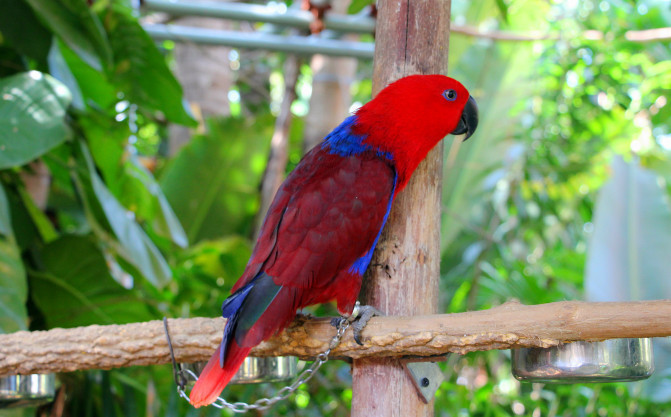 中国旅游前必看攻略,旅游攻略看完这篇文章轻松搞定