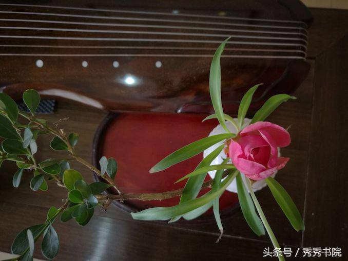 长安雅士所有古琴曲,长安雅士古琴独奏