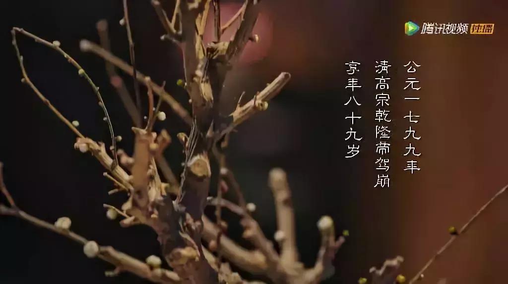 鐩樼偣5澶у鏂楀墽,瀹枟鍓т粬浠槸濡備綍鏂楃殑