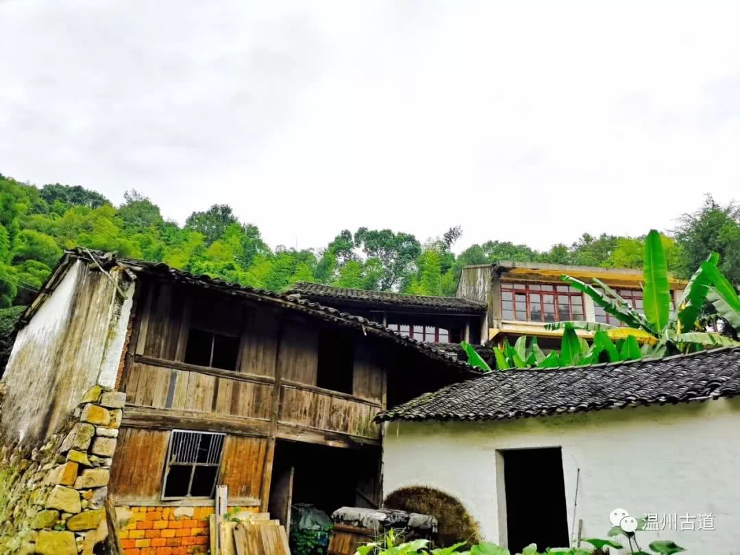 瓯海瞿溪风景,远山近水如诗如画