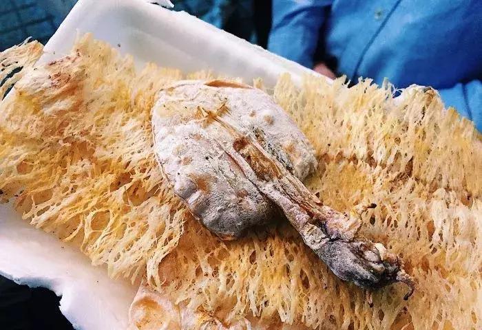 广州十大美食套餐,广州全部美食