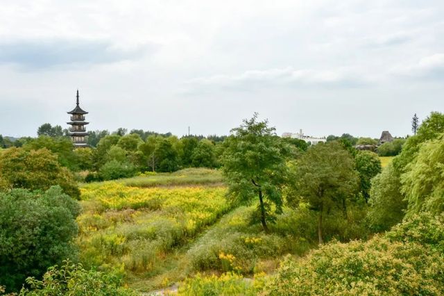 探秘2500亩魔都后花园!欧式别墅独栋、宠物乐园、动物农场高尔夫