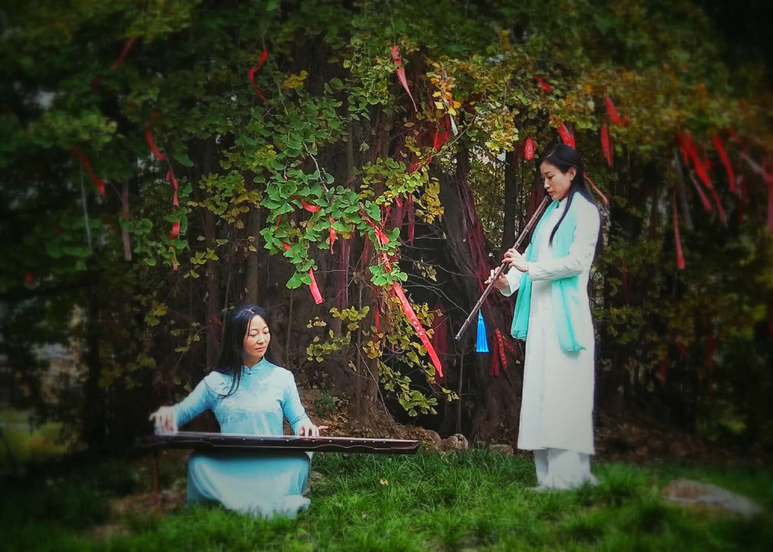 秋景西安好去处,雨后遇晴天留坝寻秋色