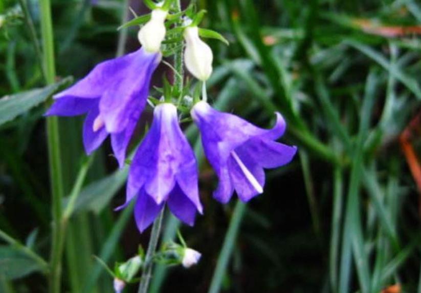 善待没脾气的人,做人要善待每一个人