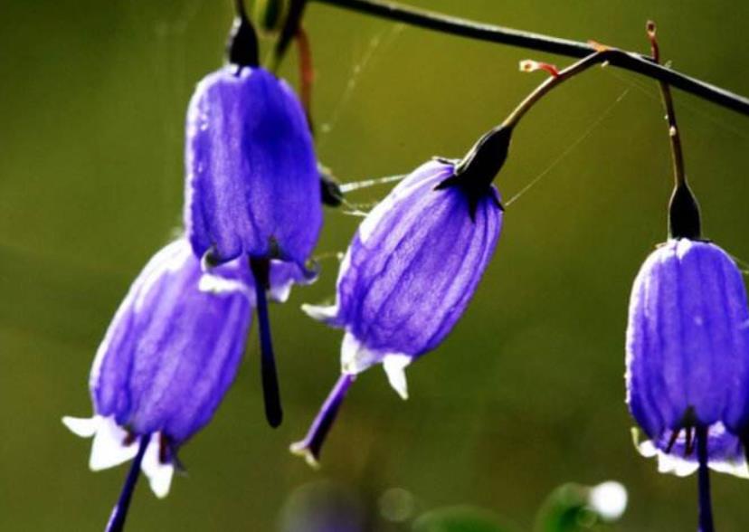 没有脾气才是一个人最好的修养,对于没脾气的人是怎么样的看法