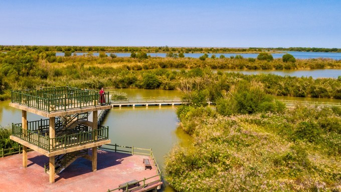 东营黄河入海口旅游攻略,东营河海交汇旅游攻略