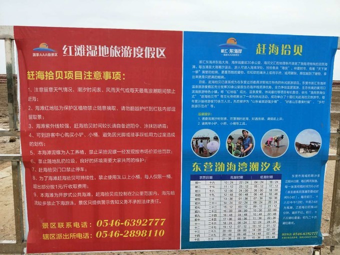 东营黄河入海口旅游攻略,东营河海交汇旅游攻略