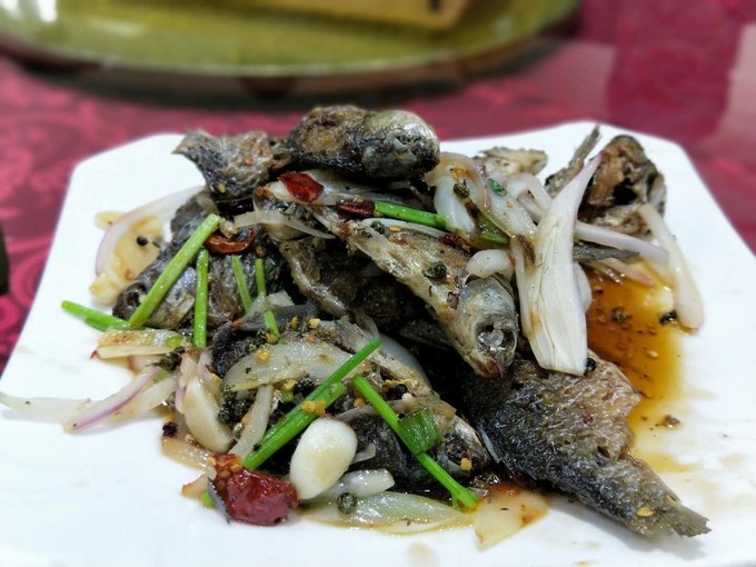 东营黄河入海口旅游攻略,东营河海交汇旅游攻略