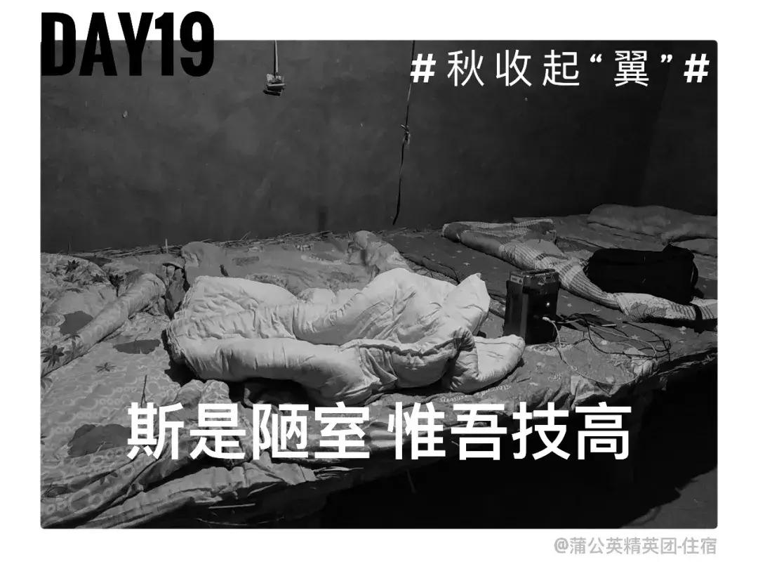 备好酒，听我们秋收起“翼”的故事！