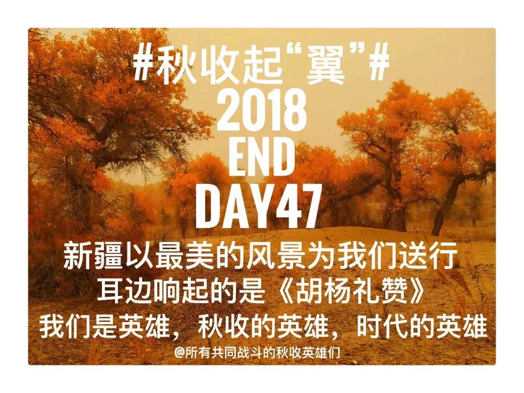 备好酒，听我们秋收起“翼”的故事！