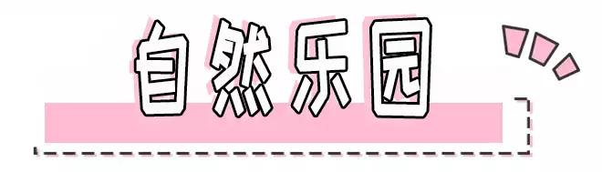 sk-ii算不算大品牌,sk-ii什么档次