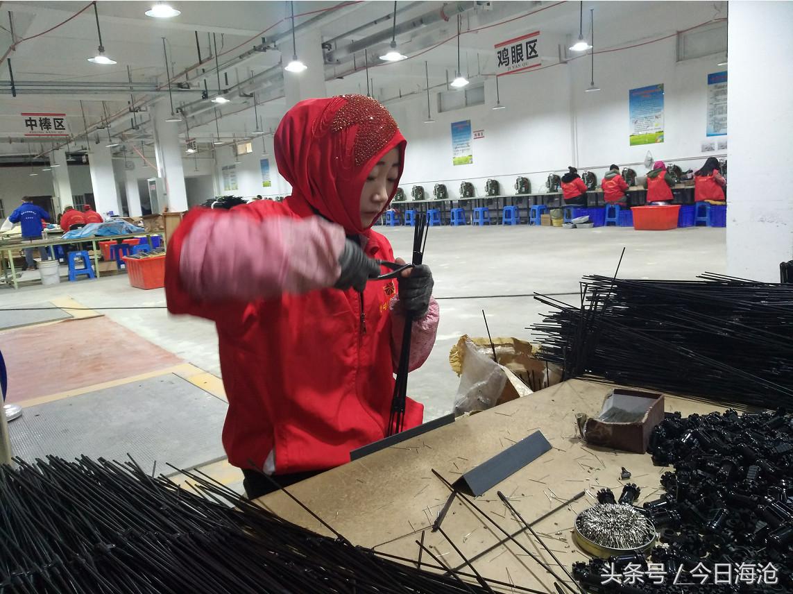 海沧区东西部扶贫协作,脱贫攻坚助力贫困户增加收入