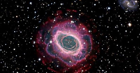 恐龙确实遍布世界各地由何而来,肉食性恐龙一般生活在哪个时代