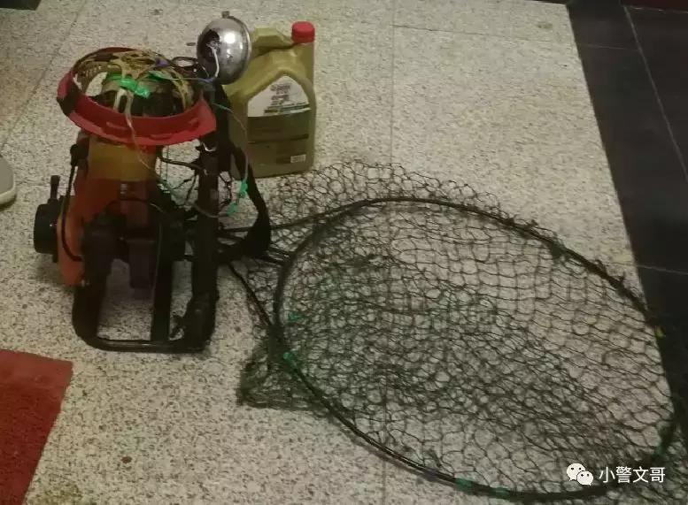 普通野鸡会犯法么,把野鸡弄死会坐牢吗