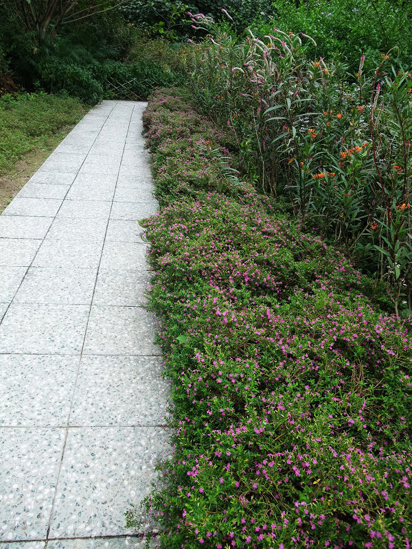 穷驴500块囧囧游香港（详细攻略带图）