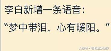 王者荣耀梦泪新直播,王者荣耀梦泪直播