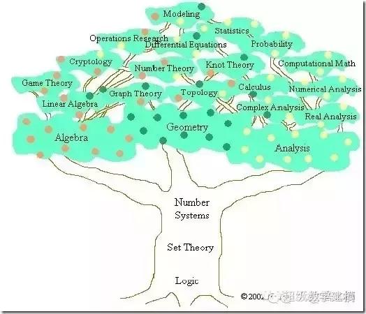 麻省理工牛人解说数学体系,麻省理工学院数学天才