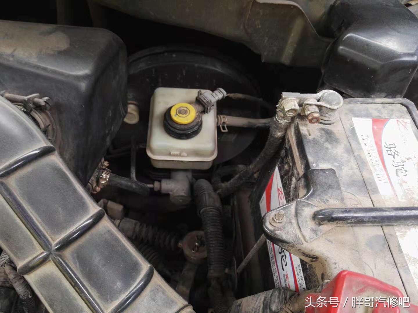 万元二手车，胖哥已整备完成，大家出来看看效果