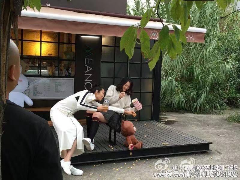 中国女排喝的茶,中国女排喝咖啡