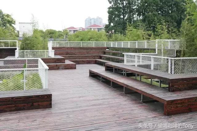 中国女排喝的茶,中国女排喝咖啡