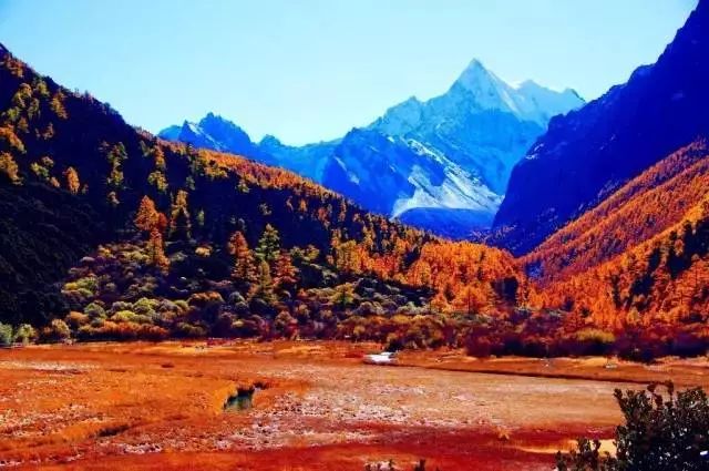 稻城亚丁旅游攻略 (西藏稻城亚丁美景)