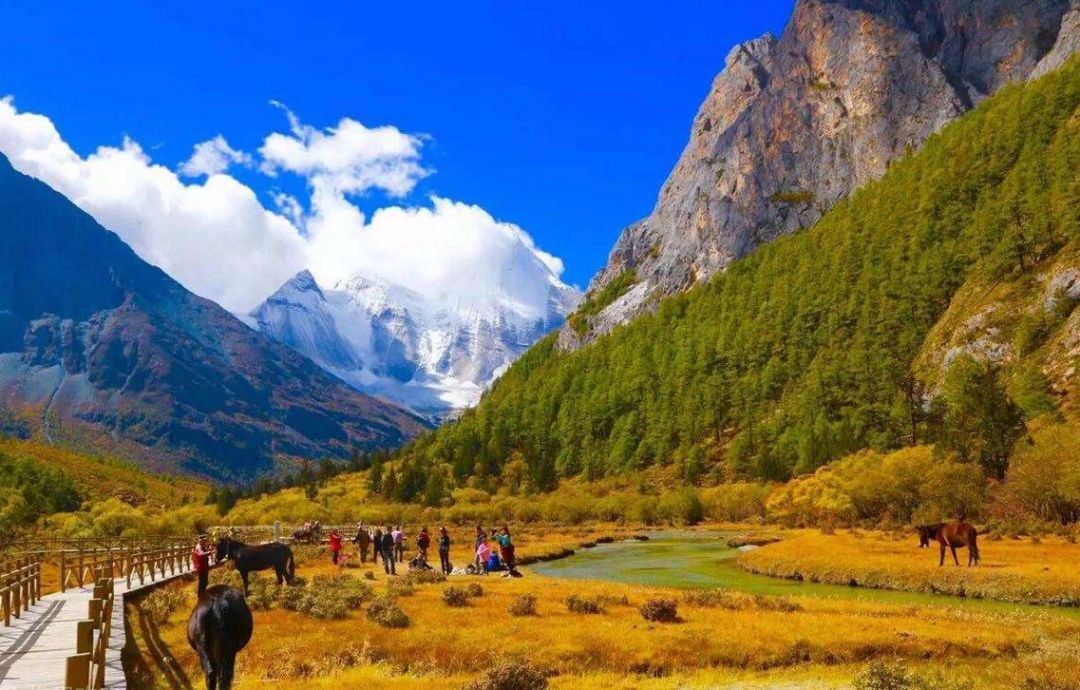 稻城亚丁旅游攻略 (西藏稻城亚丁美景)