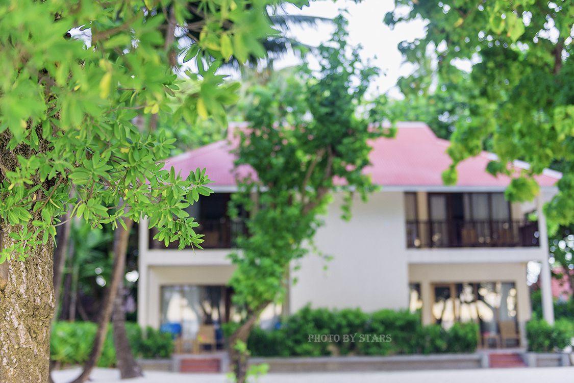 适合蜜月沉浸式度假的地方,世界十大蜜月度假岛