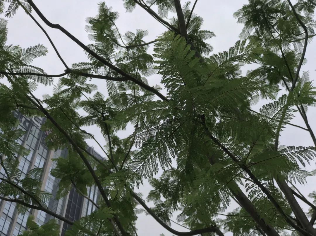 现在iphonexsmax还值得买吗,iphonexsmax还值得买吗