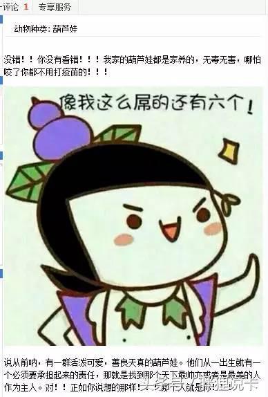 葫芦娃六娃隐身,买葫芦娃六娃去哪了