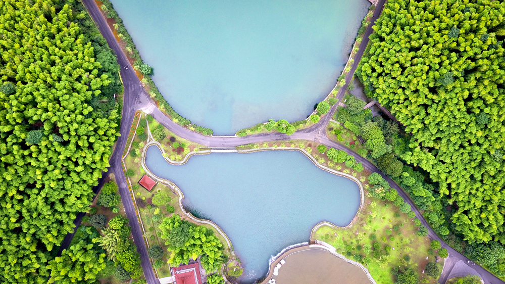 宜兴竹海的风景,推荐一个好的地方宜兴竹海