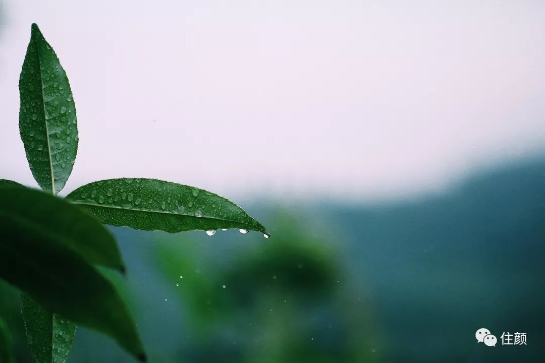 结束北漂生活，她花50w打造自己的私人庇护所，慢生活从此开始