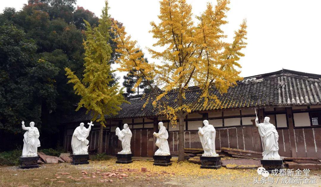 金堂秋色,秋天金堂十大必去景点