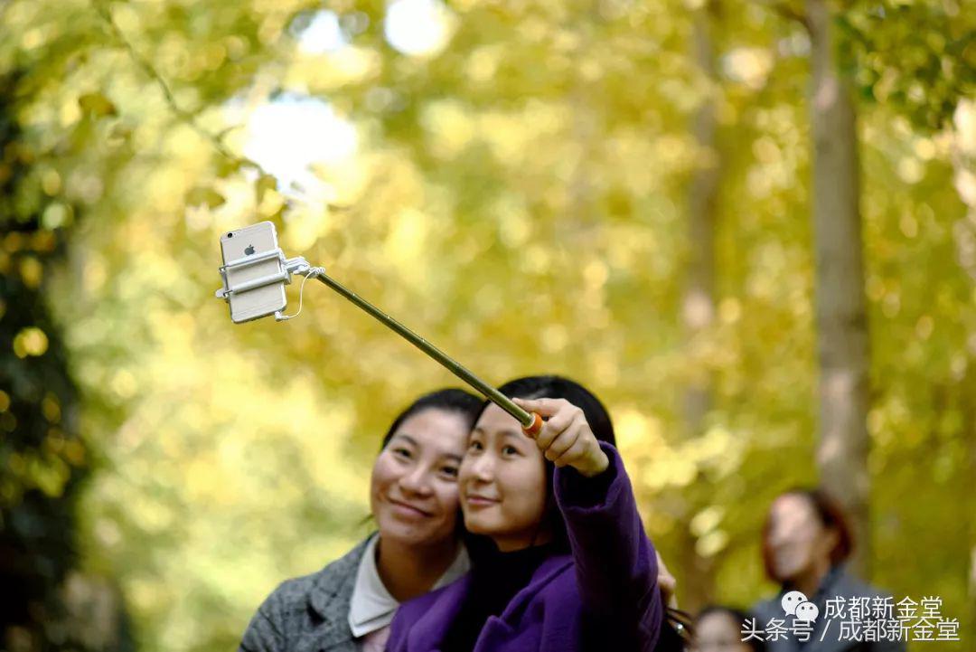 金堂秋色,秋天金堂十大必去景点