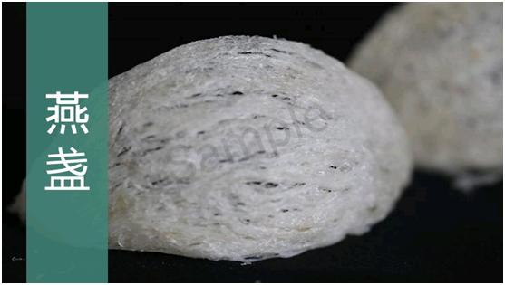 燕窝没有你想象中那样高不可攀,燕窝从古至今都备受欢迎的原因