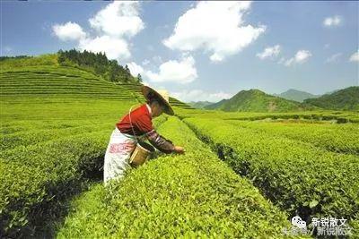 很多人梦寐以求的田园生活,向往惬意的田园生活是为什么