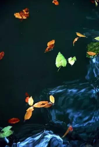 10首相思的诗句,九首相思诗词九重相思境界