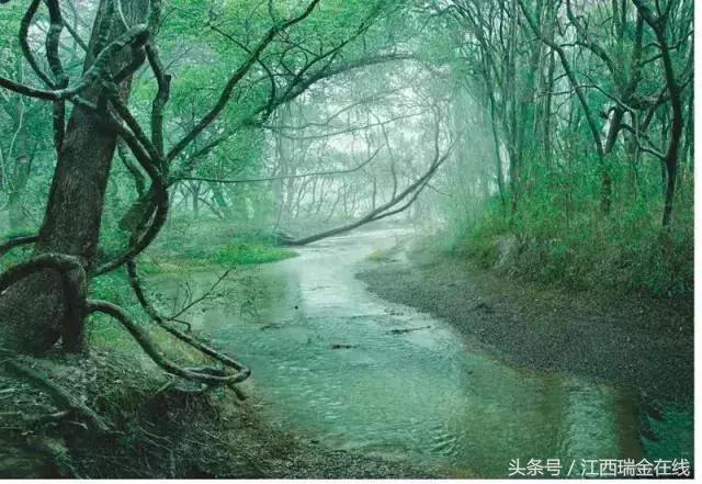 中国江西瑞金,这就是江西歌曲原唱