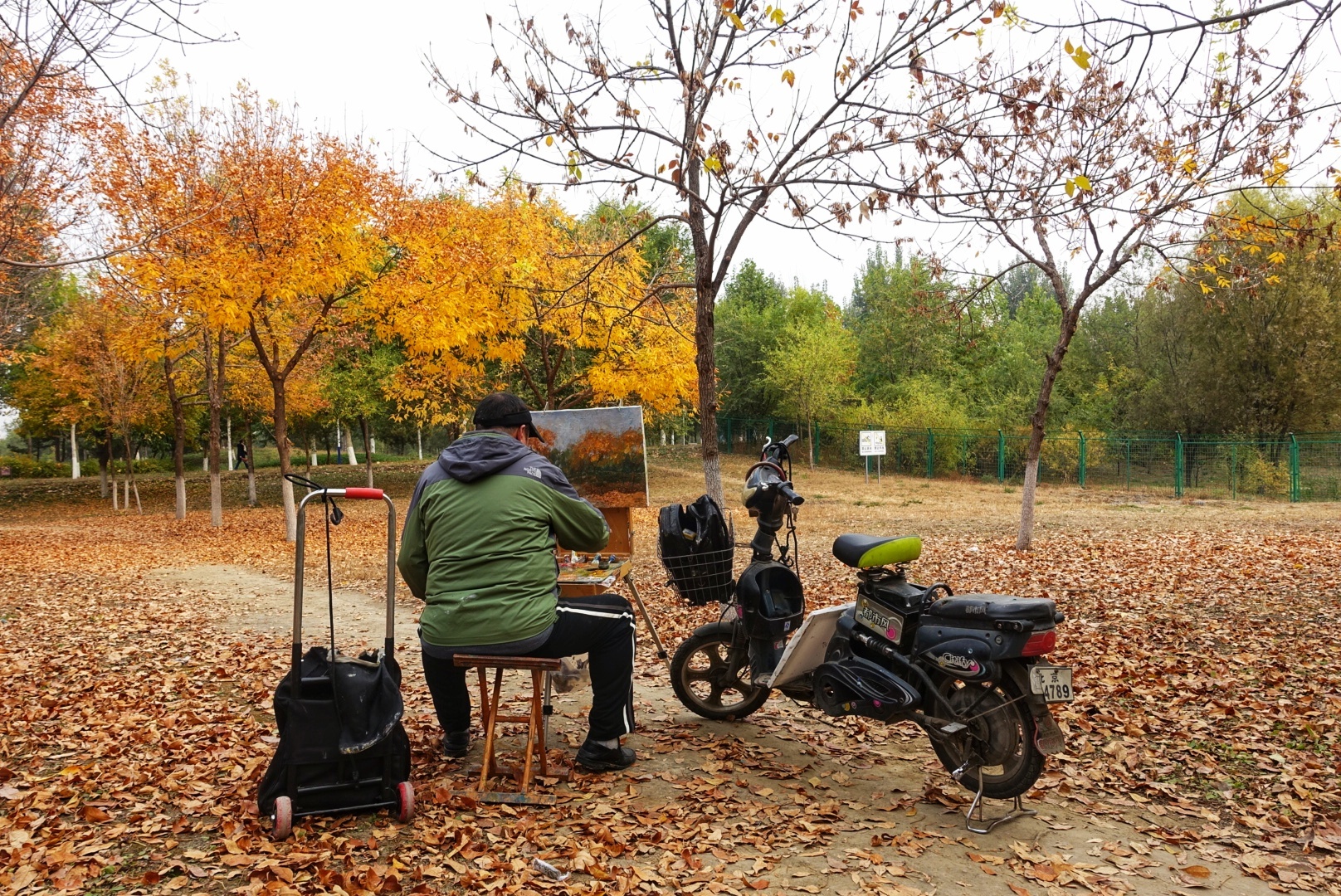 北京昌平金秋风景,昌平金秋周边一日游最佳攻略