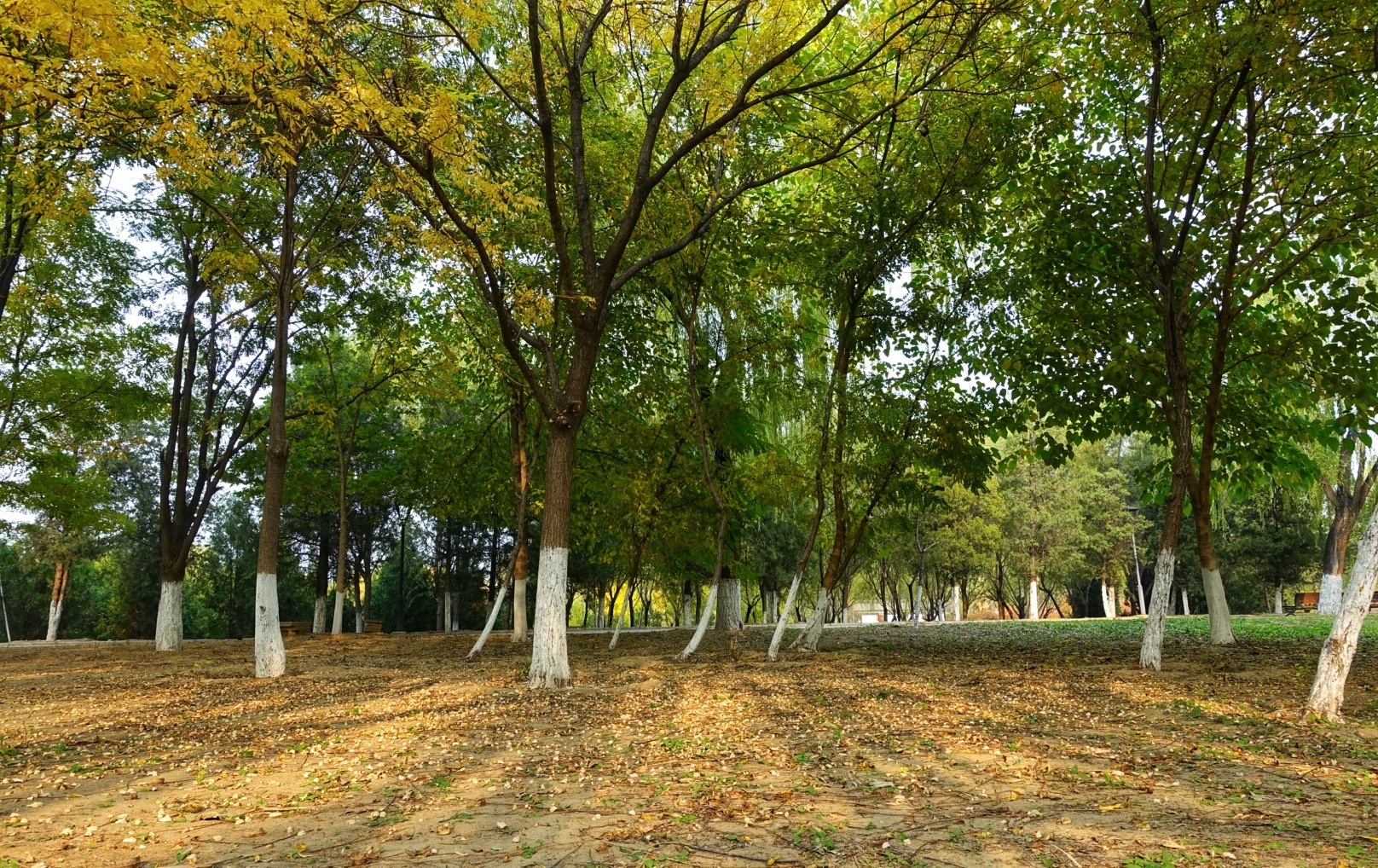 北京昌平金秋风景,昌平金秋周边一日游最佳攻略