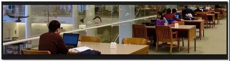 微软和比尔盖茨的发展史,比尔盖茨创建微软的励志故事