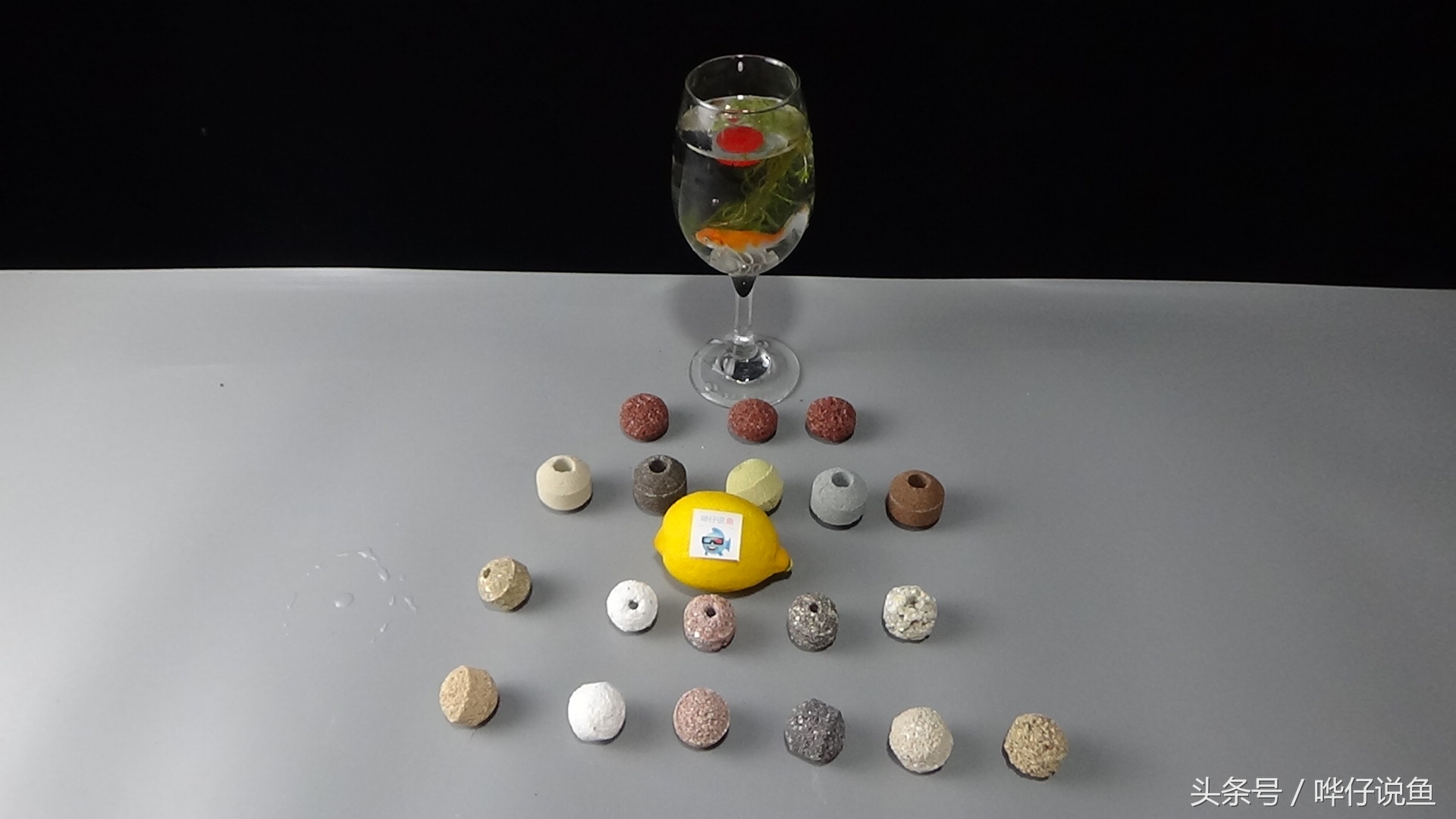 热带鱼的鱼缸底滤怎么选,观赏鱼鱼缸过滤如何选择