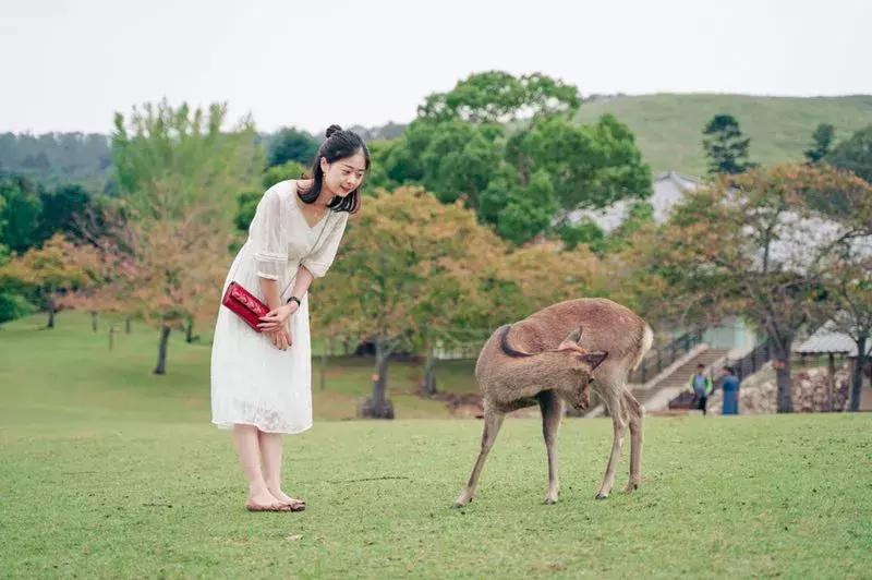 你用过哪些会回购的美白身体乳,无限回购身体乳秋冬丝塔芙