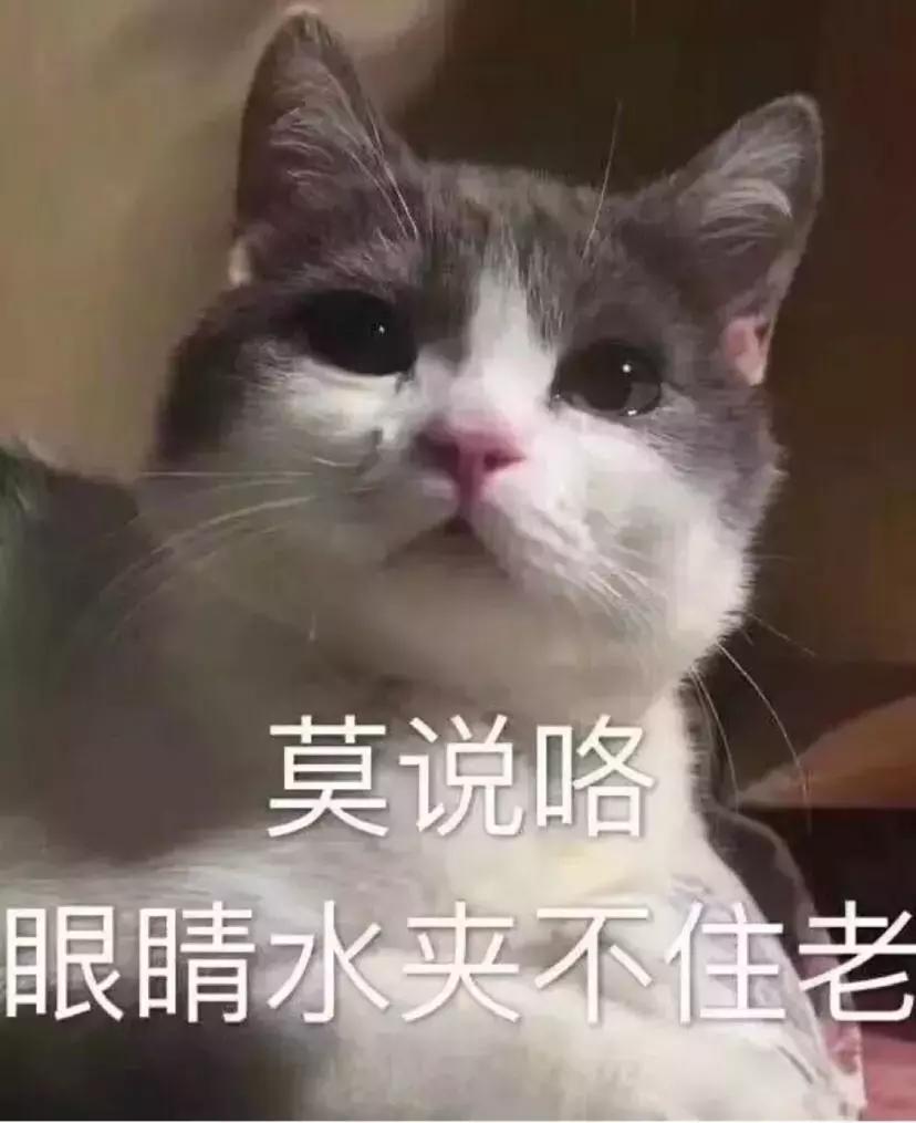 不要让熊孩子破坏你的手办,如何让熊孩子不碰你的手办