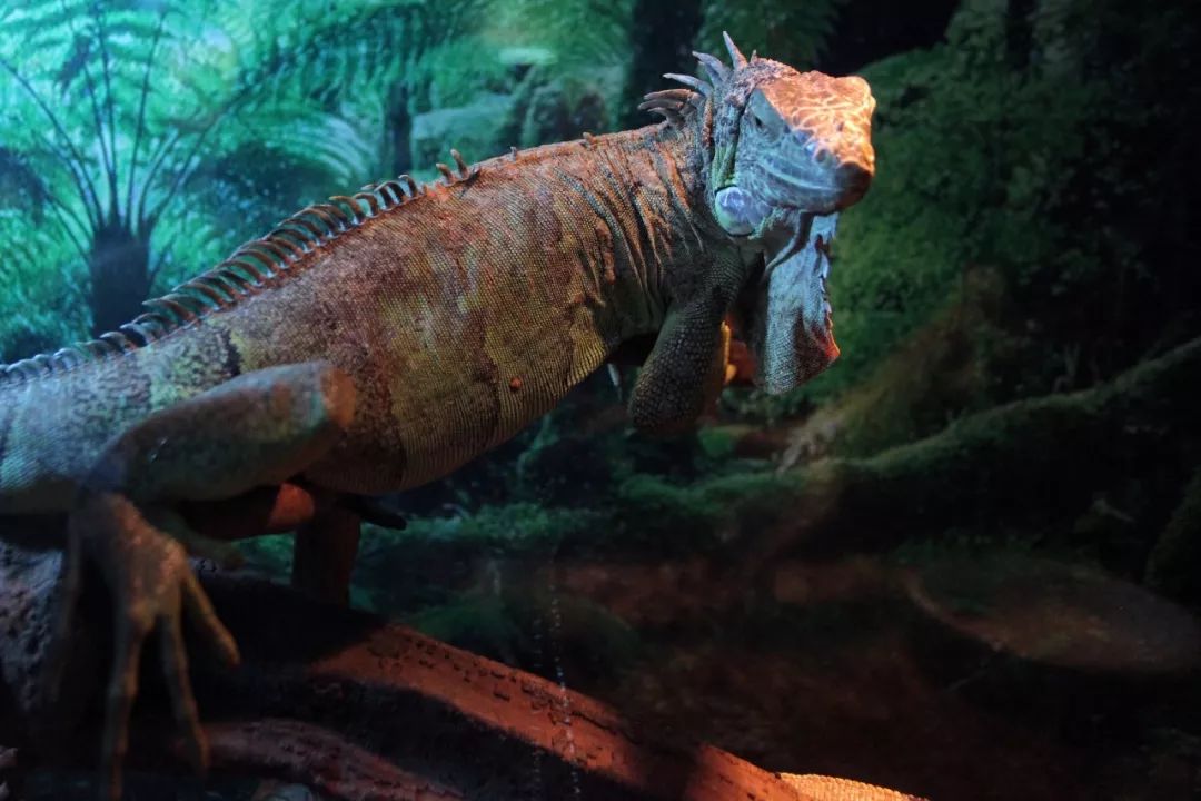 没有人来人往的城市,没有人山人海的地方