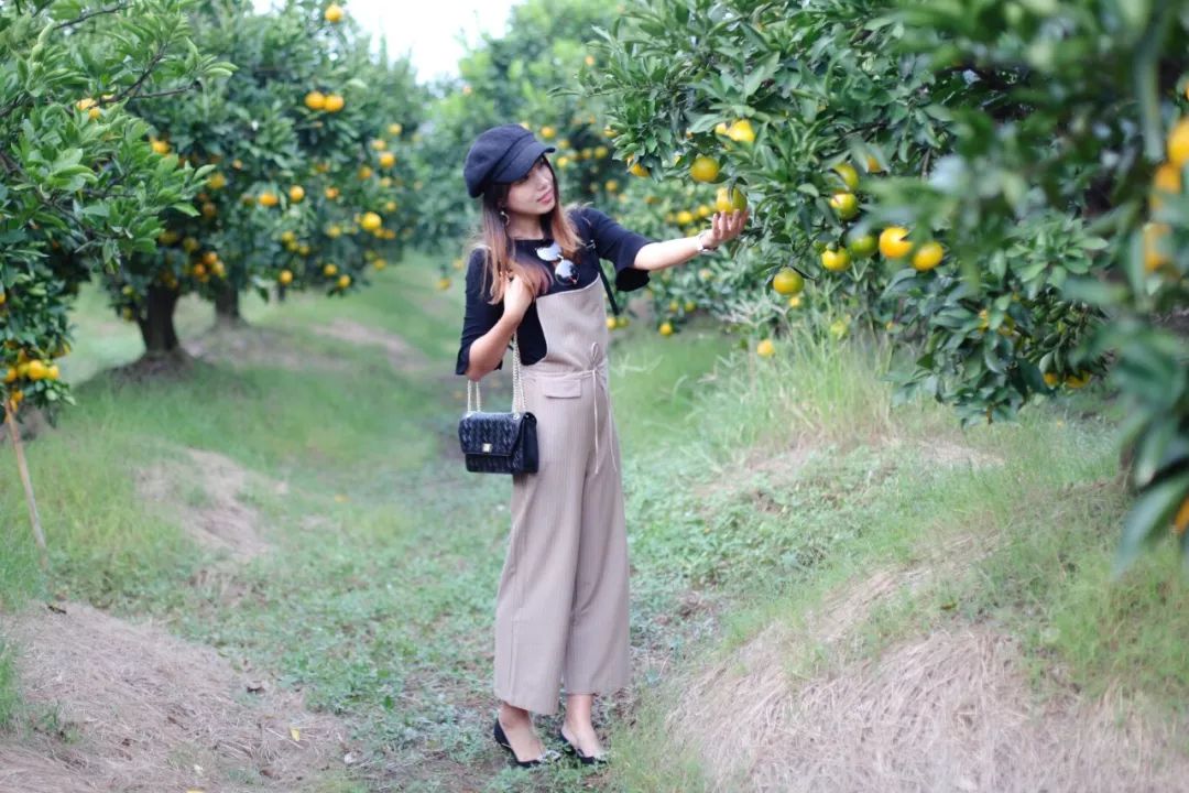 没有人来人往的城市,没有人山人海的地方
