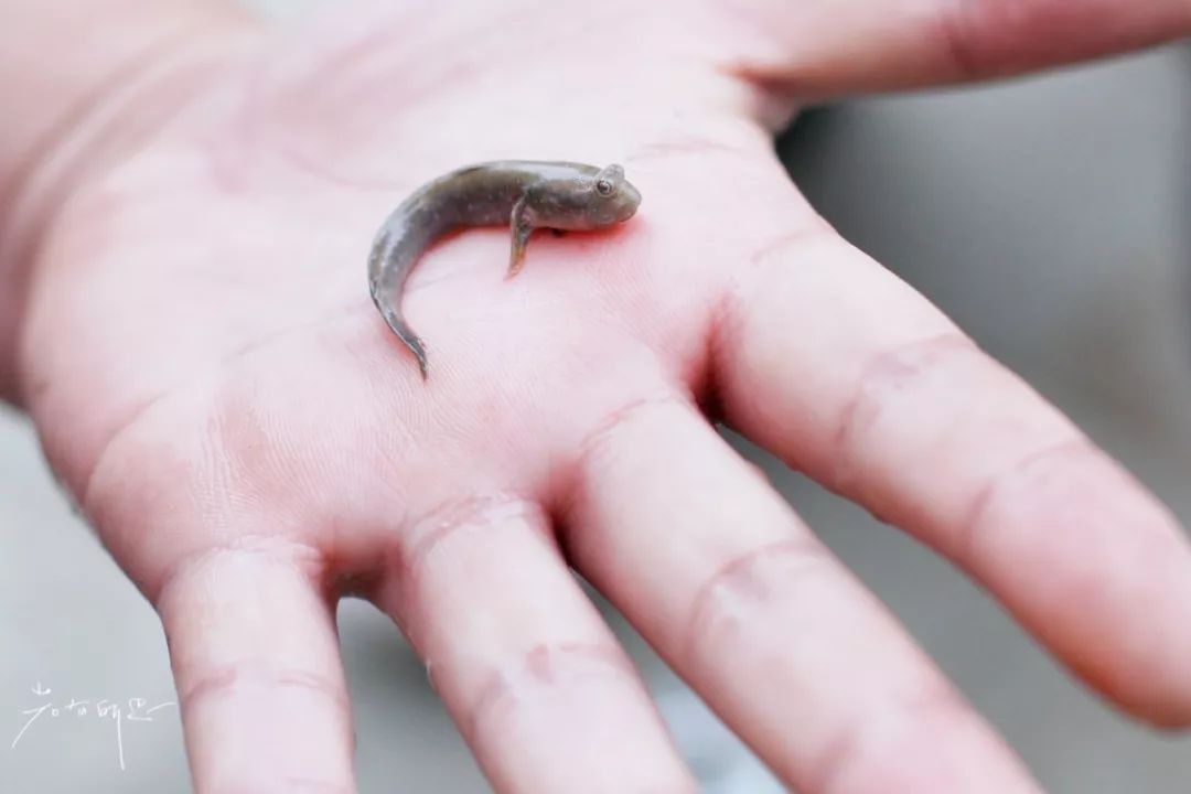 没有人来人往的城市,没有人山人海的地方